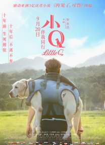 91短视频版在线观看www免费